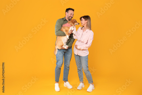 Happy young European man and pregnant woman posing with their corgi dog, radiating happiness against vibrant yellow background, full length © Home-stock