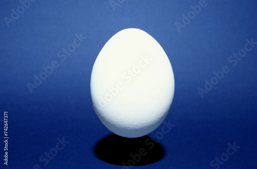 closeup of one single hen´s egg, chicken egg