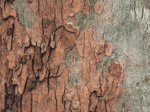 Vector illustration of the texture of the bark of an oriental plane tree or Platanus orientalis in Latin. Natural military background.