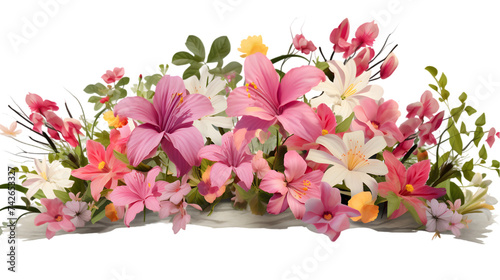 bush of flowers on white or transparent background, png file © Pretty Panda