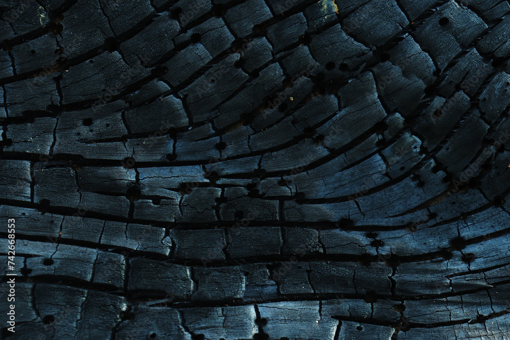 Close up Surface of charcoal. Black charcoal bark background - obrazy, fototapety, plakaty 