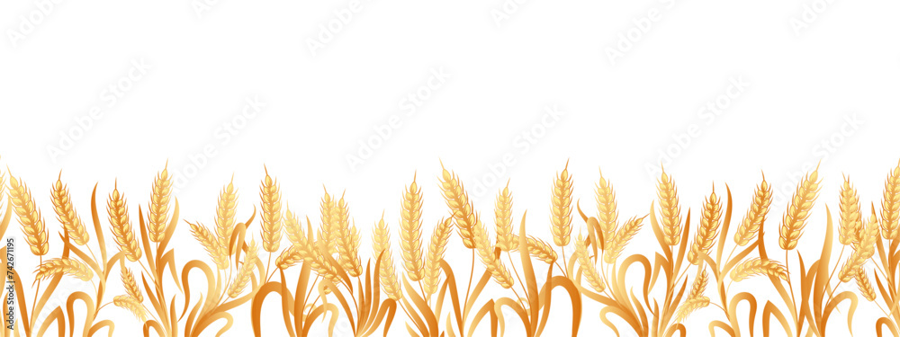 Seamless border of spikelets of wheat, rye, barley with copy space. Background, vector - obrazy, fototapety, plakaty 