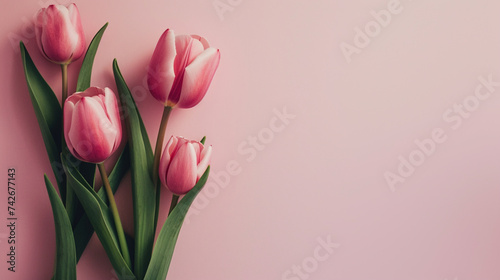 大きなコピースペースと薄ピンクの背景と桃色のチューリップの花束