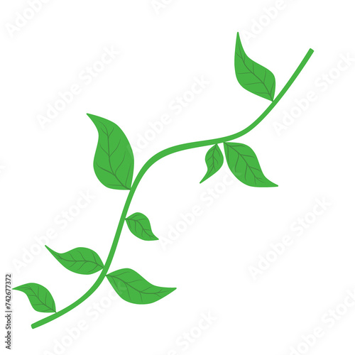 Doodle leaf aesthetic tendrils plant illustration cartoon that can be used for sticker, book, scrapbook, icon, decorative, e.t.c with green red white colors spring photo