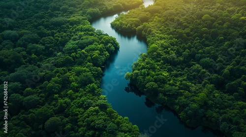 An aerial perspective reveals the intricate patterns of a winding river cutting through the dense foliage of a vibrant forest ecosystem.
