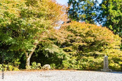 雲辺寺のなごりもみじ（香川県） photo