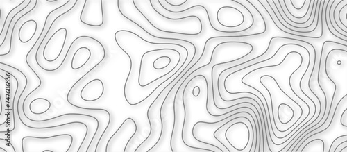 Abstract topographic contours 3d map background .topographic line texture background .monochrome image .stylized height of the topographic map contour in lines.