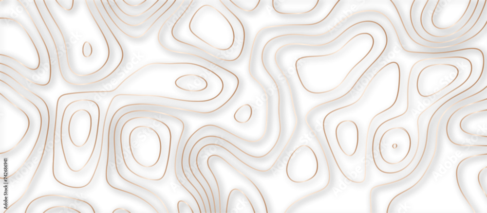 Abstract topographic contours 3d map background .topographic line texture background .monochrome image .stylized height of the topographic map contour in lines. Abstract topographic contours 3d map background .topographic line texture background .monochrome image .stylized height of the topographic map contour in lines.