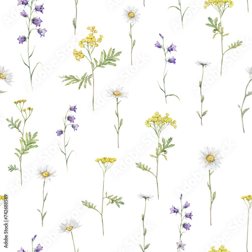 Seamless pattern watercolor meadow flower with white chamomile and violet bluebell. Repeat wallpaper forest flower yellow ranunculus and tansy. Hand drawn illustration on isolated background.