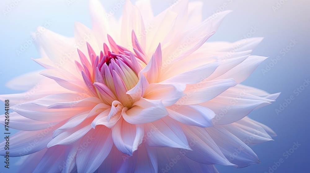 petal blurred flower