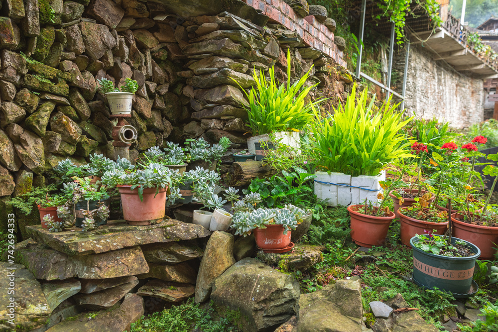 Plants in the chinese country.