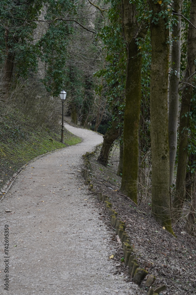 Fototapeta premium Path in the woods