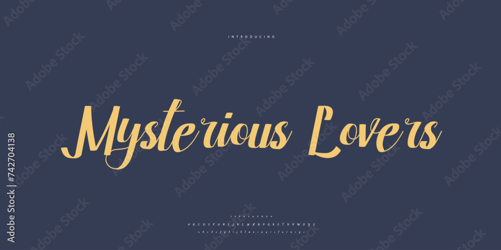 Fototapeta premium signature Font Calligraphy Logotype Script Brush Font Type Font lettering handwritten 