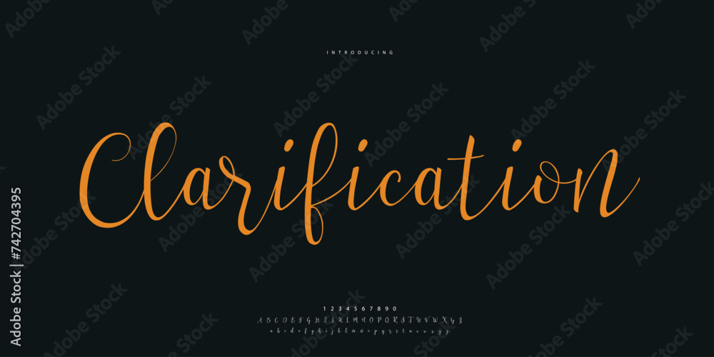 signature Font Calligraphy Logotype Script Brush Font Type Font lettering handwritten	
