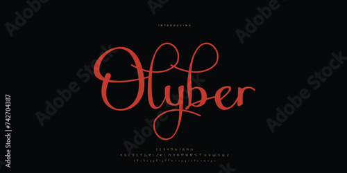 signature Font Calligraphy Logotype Script Brush Font Type Font lettering handwritten	

