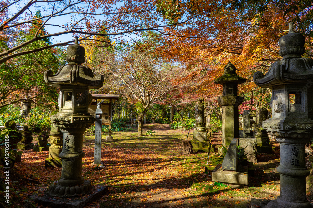Fototapeta premium 道隆寺跡の紅葉の風景（肝付町）