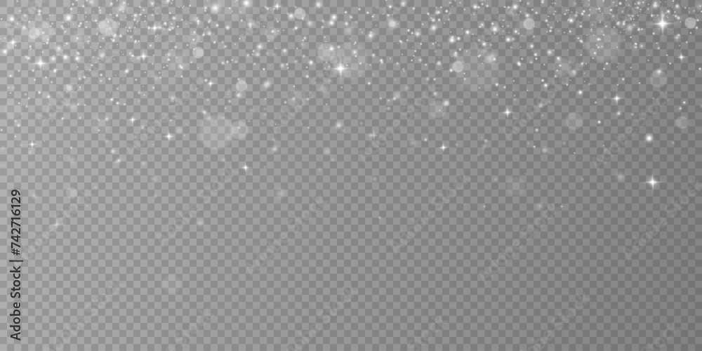 Sparkling magical dust particles. Dust sparks and white stars shine with a special light. Shiny elements on a transparent background.
Sparkling magical dust particles. Dust sparks and white stars shine with a special light. Shiny elements on a transparent background.