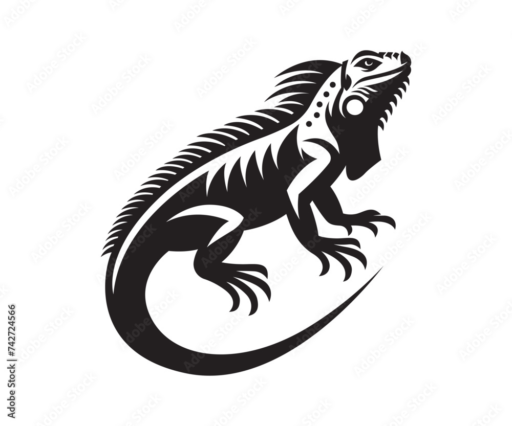 Iguana vector Iguana vector