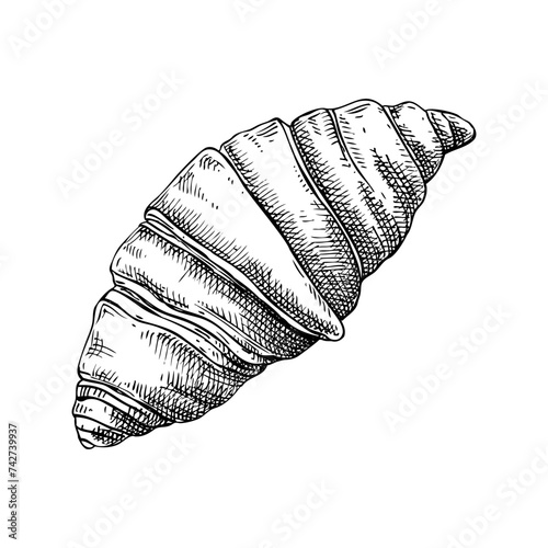 Croissant vintage drawing. European food, pastry, dessert sketch. French bakery design element. France hand-drawn food illustration, NOT AI generated