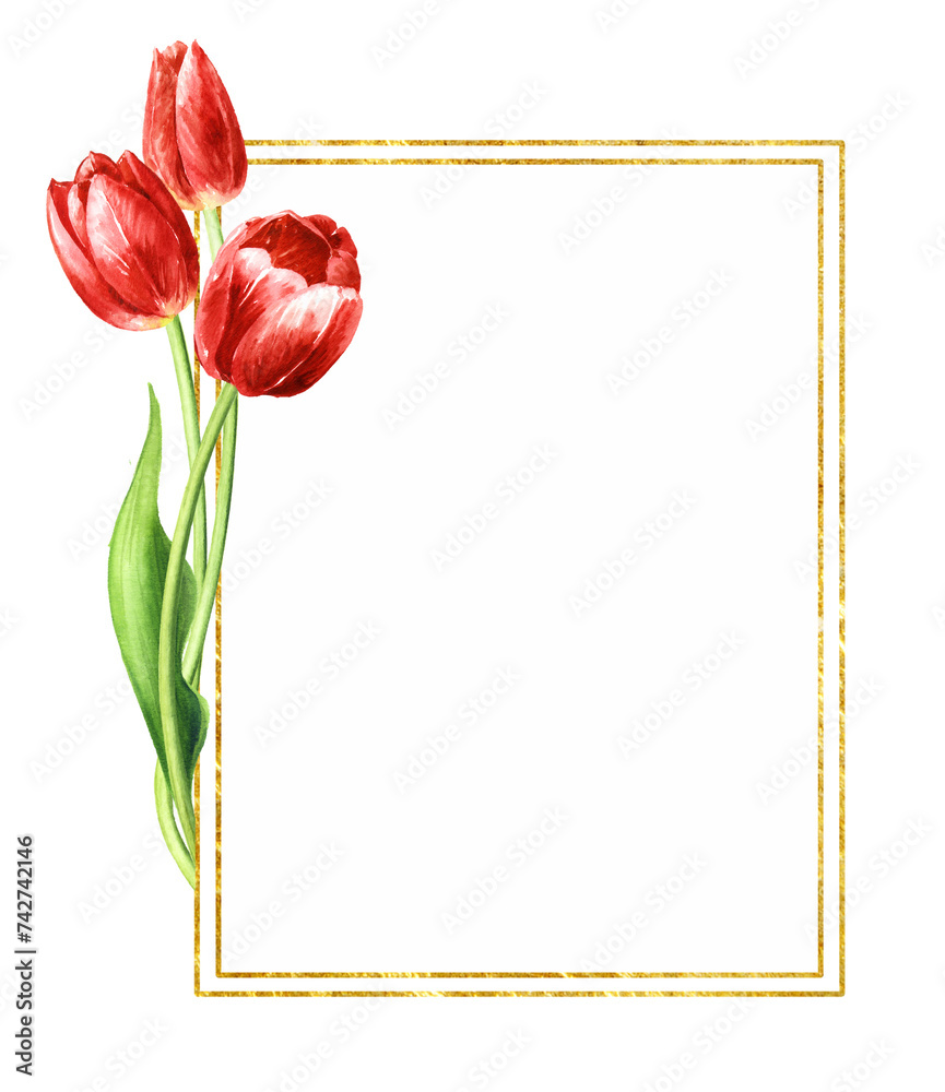 Red tulips bouquet, greeting card, template, Hand drawn watercolor  illustration isolated on white background