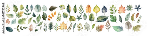 Watercolor vector set leaf. Fall illustration. Autumn season. photo