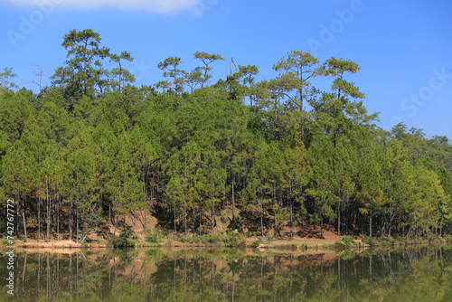 View of Pa-Son Watchan or FIO Watchan  Forest Industry Organization  Galyani Vadhana district. Chiang Mai  Thailand