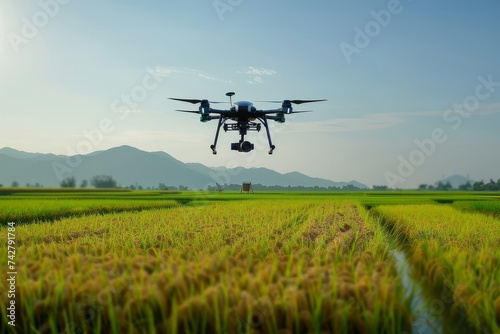 Agriculture drone flying over a ripe paddy field