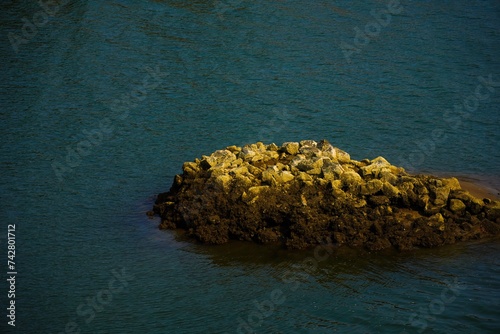 A rock over the huge sea photo