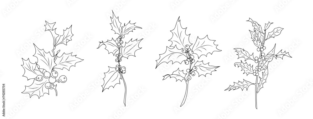 Set of holly line art drawings. December birth month flower. Hand drawn monochrome black ink outline vector illustration isolated on transparent background. Christmas and New Year traditional symbol.