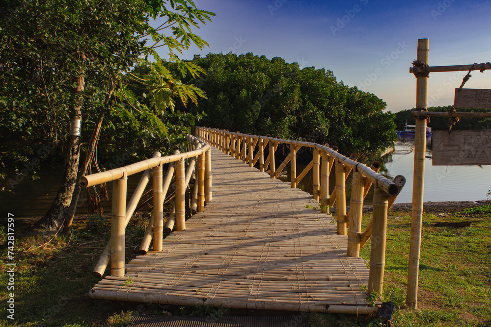 Bamboo bridge on an island in the Philippines.