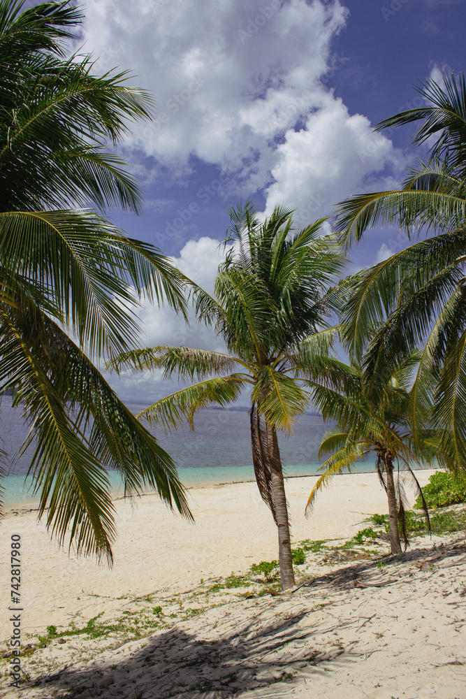 Amazing tropical beach with big palm trees in Black Island Amazing tropical beach with big palm trees in Black Island