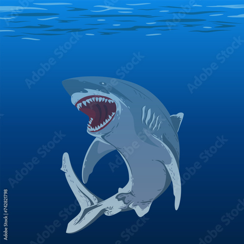Sharks swim in the water with their mouths open