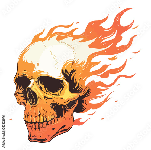 skull on fire flames illustration