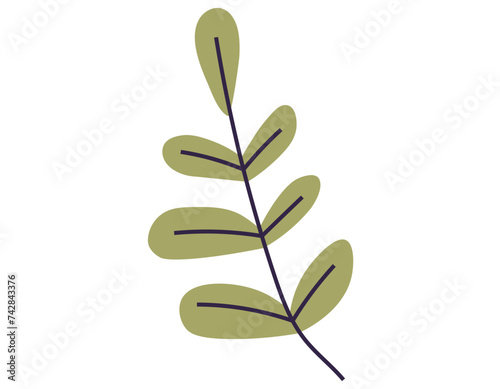 Leaves vector illustration. In realm botany, leaves and foliage embody very essence life Growing garden instills deep appreciation for intricate world leaves Leaves grow and intertwine, creating