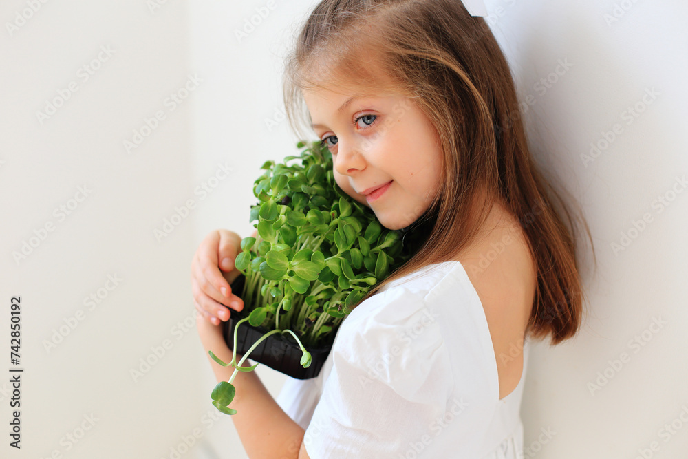 Preparing seedlings for planting in the ground. Growing microgreens at home. Seedlings and greenery at home on the windowsill. Working with the soil for the future harvest. Seeds and greens Preparing seedlings for planting in the ground. Growing microgreens at home. Seedlings and greenery at home on the windowsill. Working with the soil for the future harvest. Seeds and greens