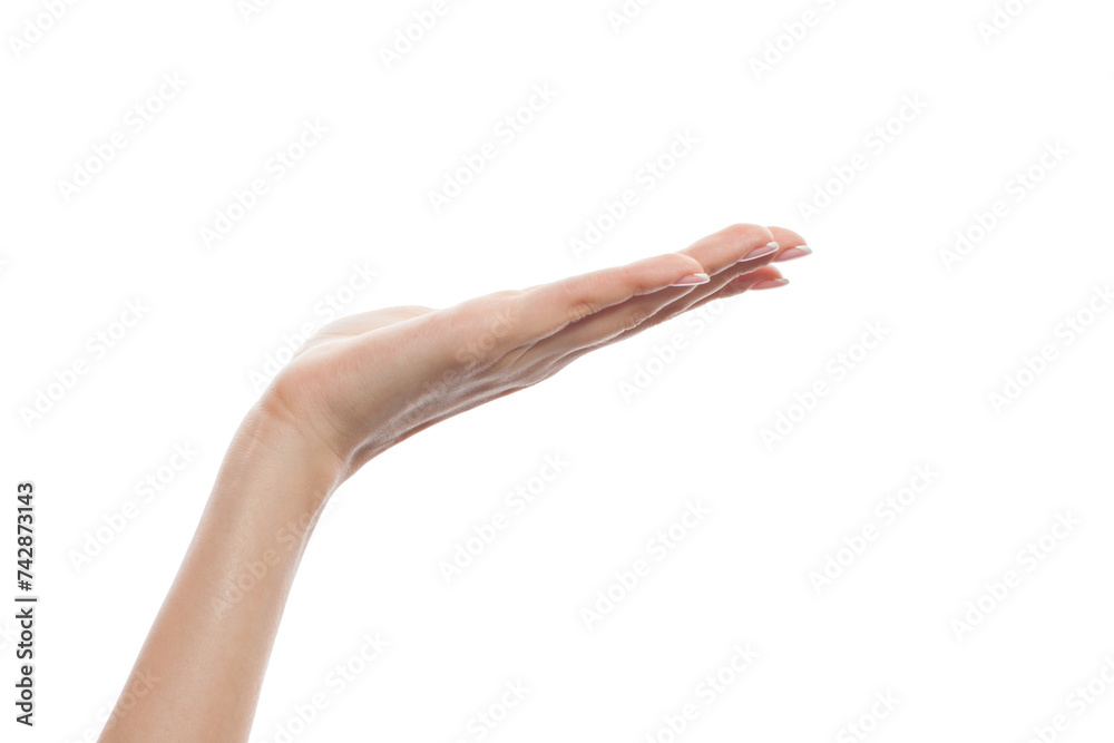 Open female hand with copy space for advertising marketing or product placement. Empty palm hand isolated on white Open female hand with copy space for advertising marketing or product placement. Empty palm hand isolated on white