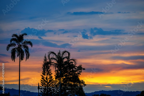 Stunning orange and blue sunset with silhouetted trees in Armenia, Colombia