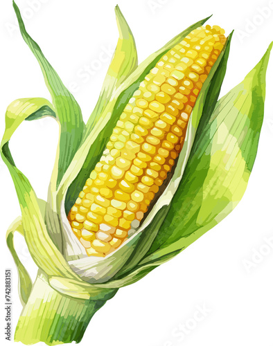 Corncob with leaf. Hand drawn watercolor painting on white background, vector illustration. AI generated illustration.