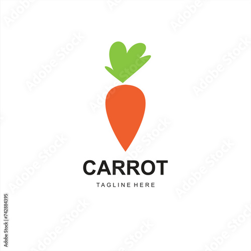 Vector orange carrot icon vector logo illustration