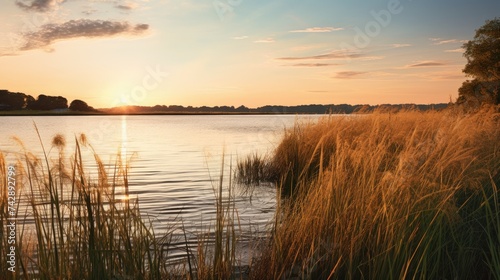 A photo of a lagoon with a reedfilled shoreline