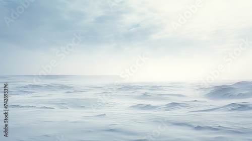 A photo of a snowy tundra photo