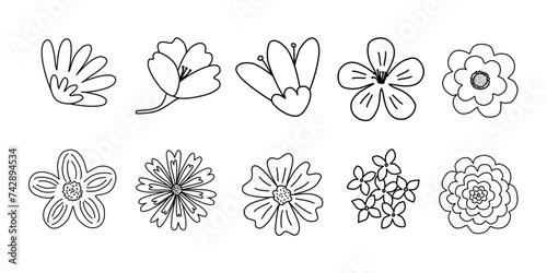 Set of different flowers heads, spring design, doodle style flat vector outline for coloring book