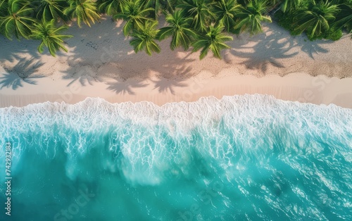 Aerial view of an empty beach with palm trees in distance © Photo And Art Panda