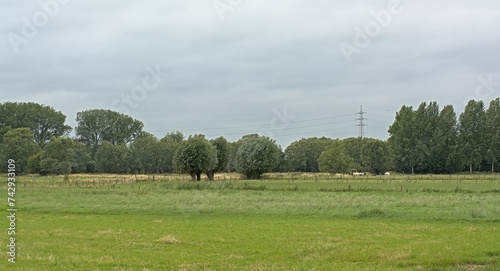 Summer landscape with green meadows and willow trees under a cloudy sky in Wieze, Flanders, Belgium photo