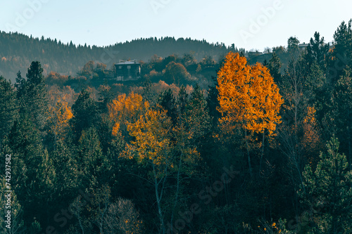 Kastamonu Kure Mountains Horma Canyon surroundings green and orange colors and bridges in autumn wooden village houses mystical air