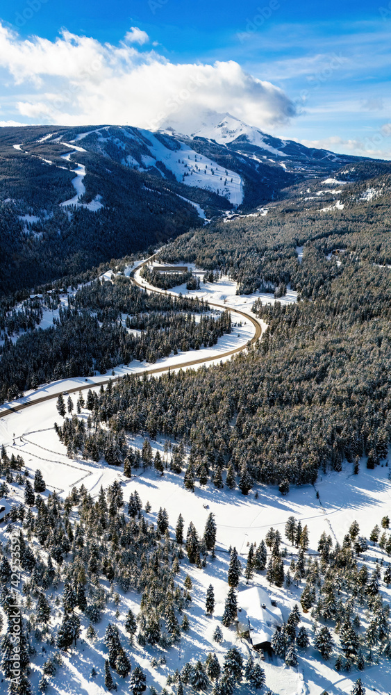 Road through the snowy mountains with pine trees