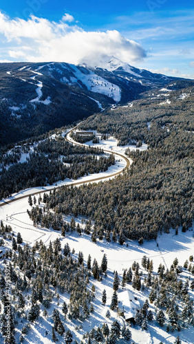 Obraz na płótnie Road through the snowy mountains with pine trees w salonie