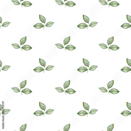 Greenery delicate seamless pattern. Watercolor hand painted background. (ID: 742953737)