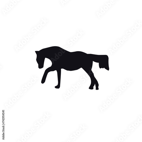 Horse Silhouette
