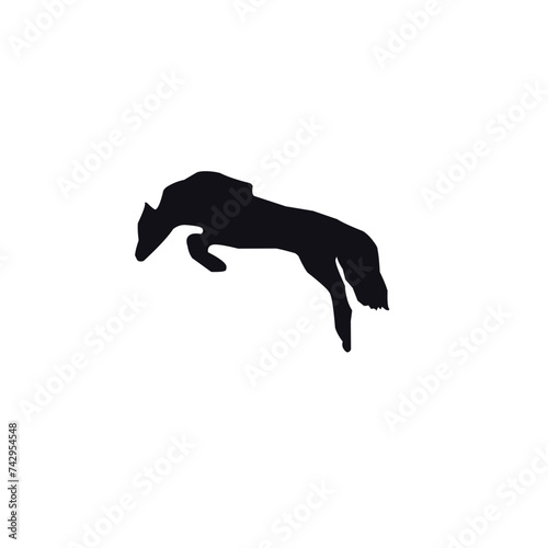 Horse Silhouette